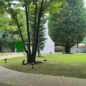お庭の緑も素敵でした。人が写っていたので少し画像を編集しています。