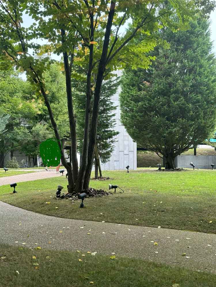 お庭の緑も素敵でした。人が写っていたので少し画像を編集しています。