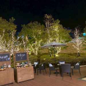 夜ライトアップされたイメージ