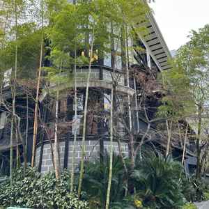 ユーザーが投稿した画像2