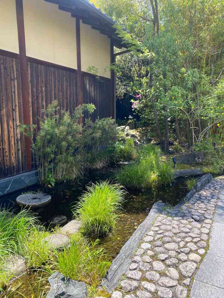 ユーザーが投稿した画像3