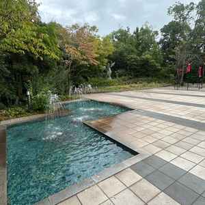 近隣の建物や道路も近いがうまく木などで隠されていて、非日常を味わえた。