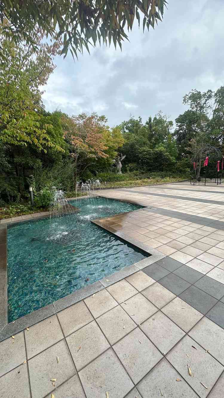 近隣の建物や道路も近いがうまく木などで隠されていて、非日常を味わえた。