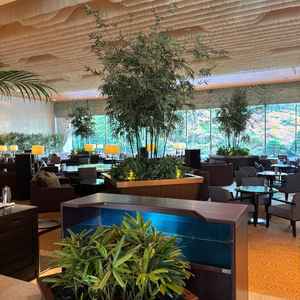 ロビー。庭園がバックに見えて綺麗です。