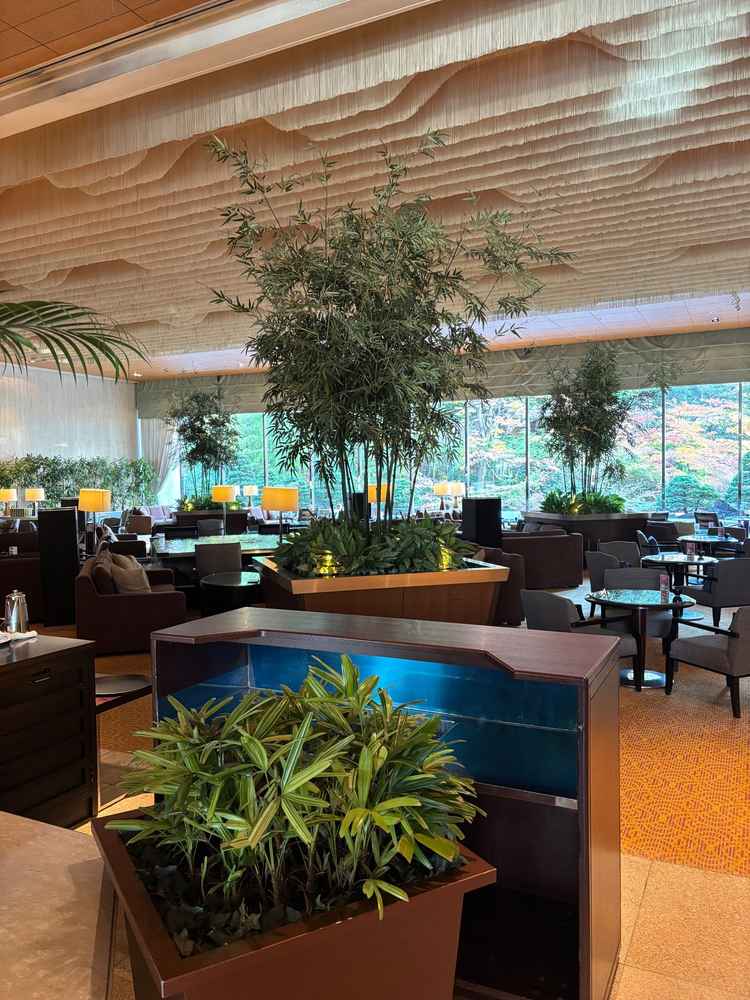 ロビー。庭園がバックに見えて綺麗です。