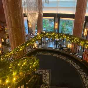 フォトスポットの階段。シャンデリアが見える位置から。青い絨毯に白のウェディングドレスが映える。