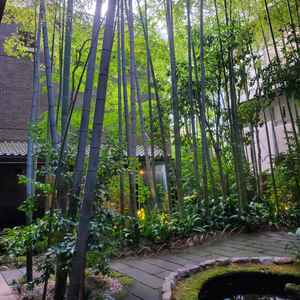 どの会場からもみえる竹林