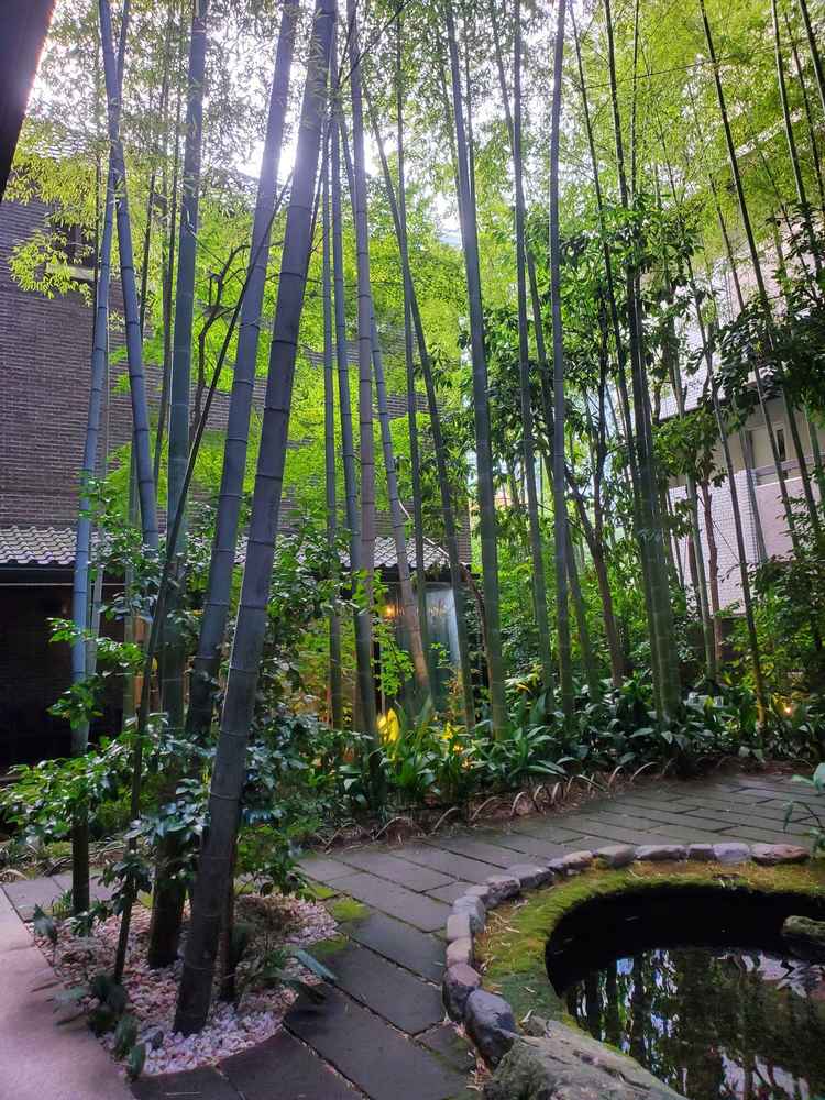 どの会場からもみえる竹林