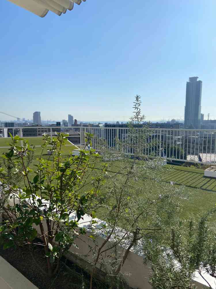 三宮の景色が一望