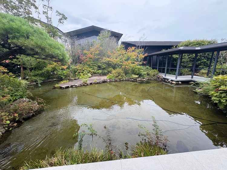 中庭の庭園は、緑豊かな庭園が広がり、癒やされる景色でした。