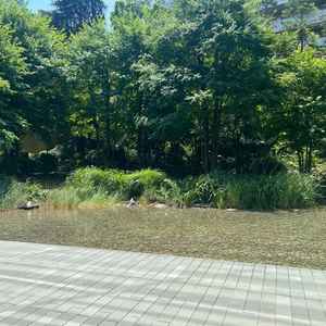 披露宴会場の庭