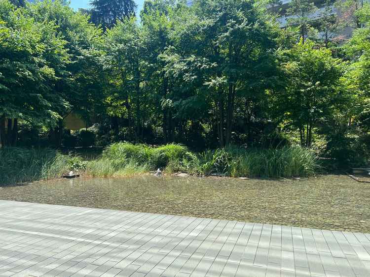 披露宴会場の庭