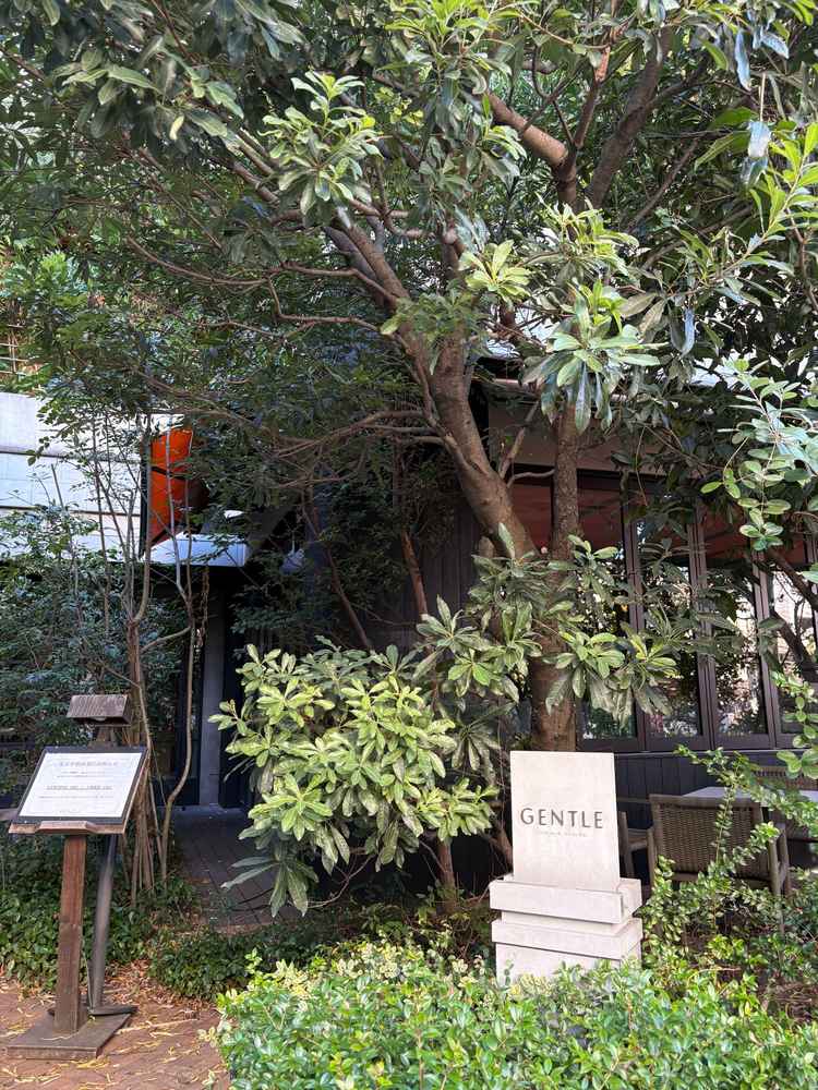 併設のレストラン