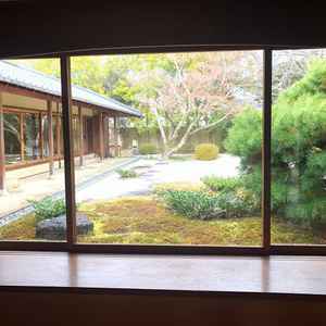 入ってすぐのお庭の写真。日本庭園がとても綺麗で滋賀でこれほど広いお庭は珍しいとのことでした。