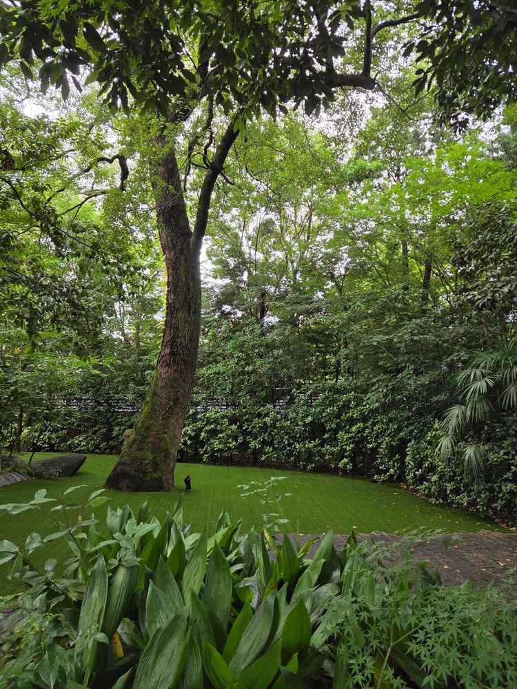 年中問わず自然が広がるガーデンウエディングでできる