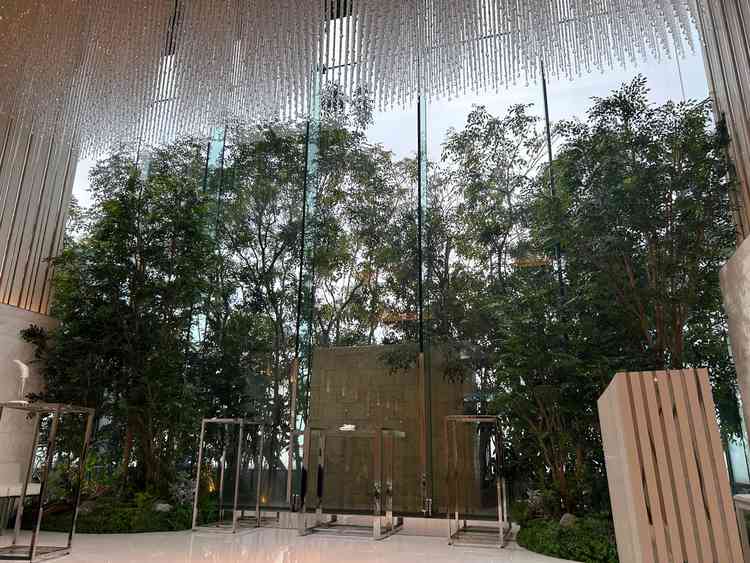 ユーザーが投稿した画像1