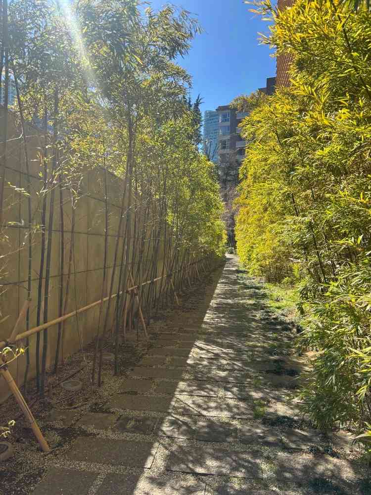 外のテラスまでの動線の竹です。季節関係なく綺麗で、写真写りもよく、ゲスト受けが良さそうです。