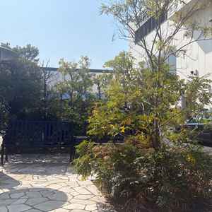 外の空間も貸し切りなので、好きなタイミングで外に出れそうなのがいいと思いました。