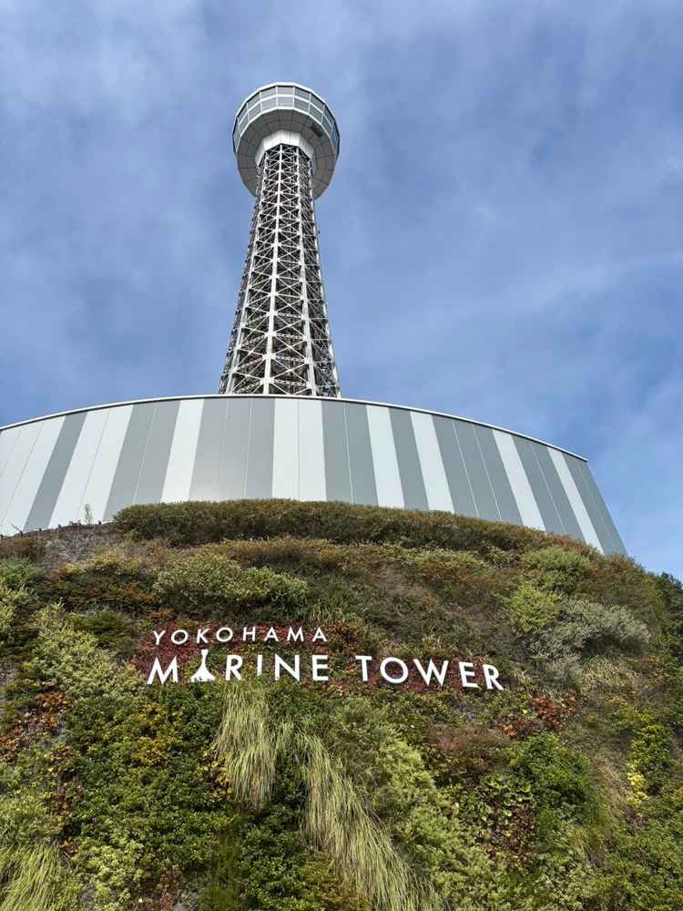 横浜のランドマーク、特別感があって写真映えする外観です。