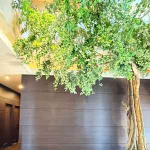 ロビーの入口。大きなツリーがお出迎えしてくれます。壁は自由に飾りつけ可能です。