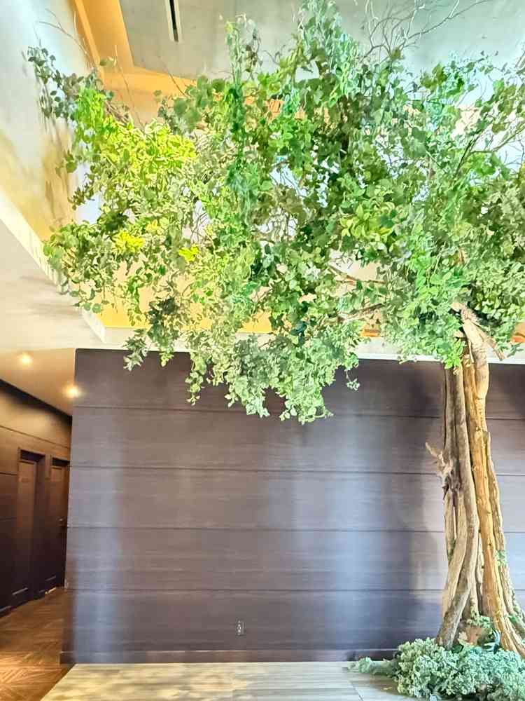 ロビーの入口。大きなツリーがお出迎えしてくれます。壁は自由に飾りつけ可能です。