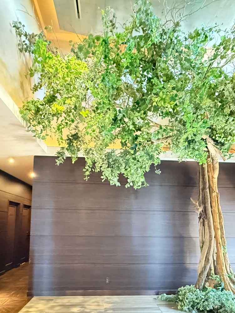 ロビーの入口。大きなツリーがお出迎えしてくれます。壁は自由に飾りつけ可能です。