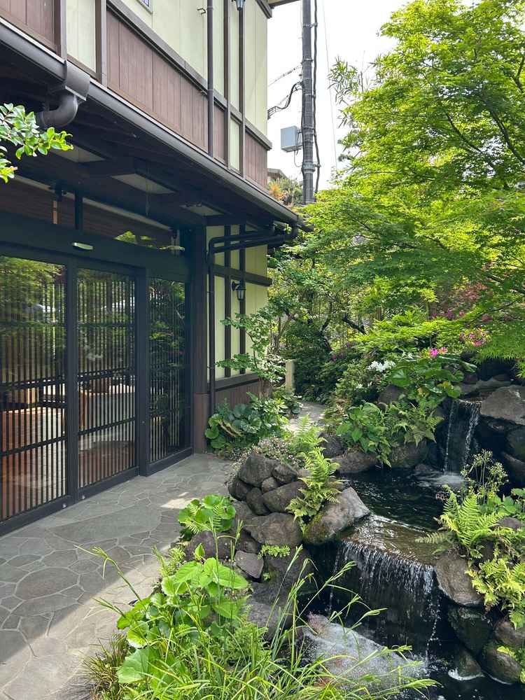 エントランス近くの庭園の写真。趣があり、京都らしい雰囲気でした。