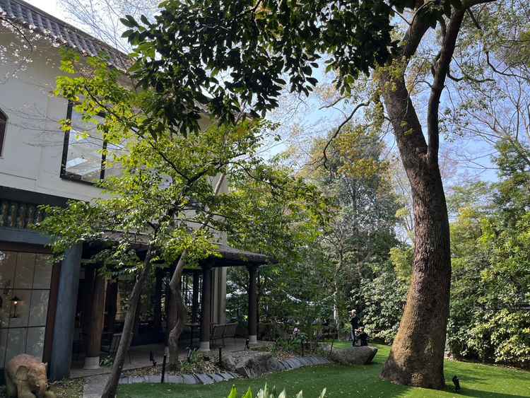 真ん中に大きな木があり庭園の緑溢れる所でした。