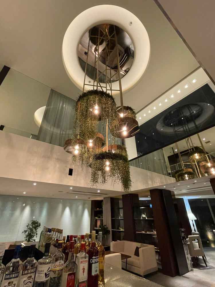 ラウンジの様子。上から吊るされている植物は造花ではなく本物だそうです。