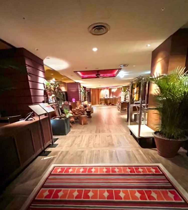 入り口から入った所がリゾート感ありました