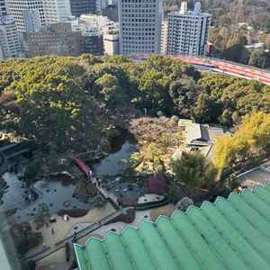 高層階からの日本庭園の写真です。冬でも綺麗でした。