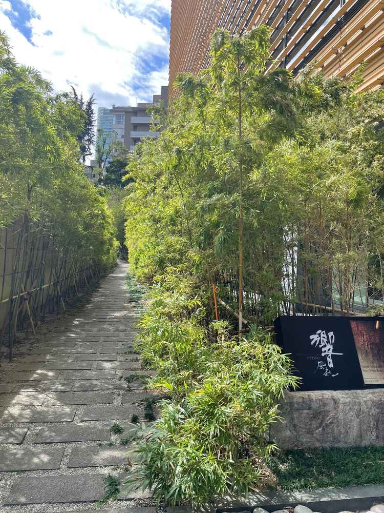 日が差してすごく綺麗な竹林。