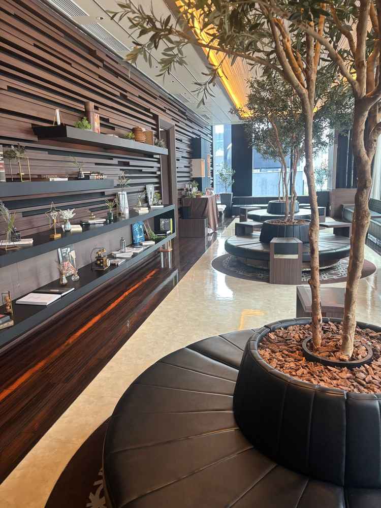 当日はあいにくの曇りでしたが、晴れていればもっと明るい空間になるのかなと感じました。