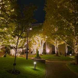 外観の夜の雰囲気。そこらへんのイルミネーションよりきれいだった。