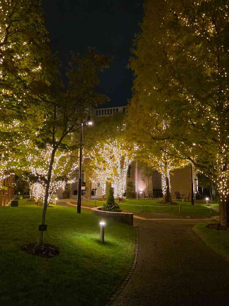 外観の夜の雰囲気。そこらへんのイルミネーションよりきれいだった。