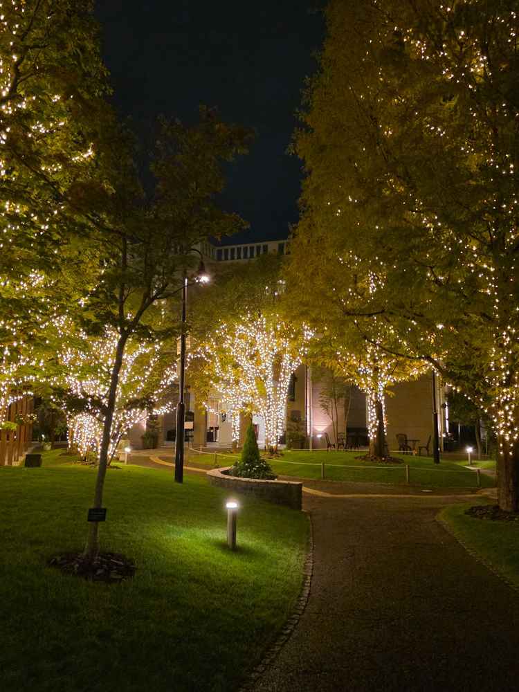 外観の夜の雰囲気。そこらへんのイルミネーションよりきれいだった。