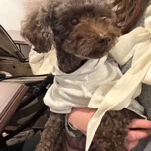 愛犬にも気を遣っていただき、愛犬を家族の一員として扱っていただけたのが嬉しかったです。