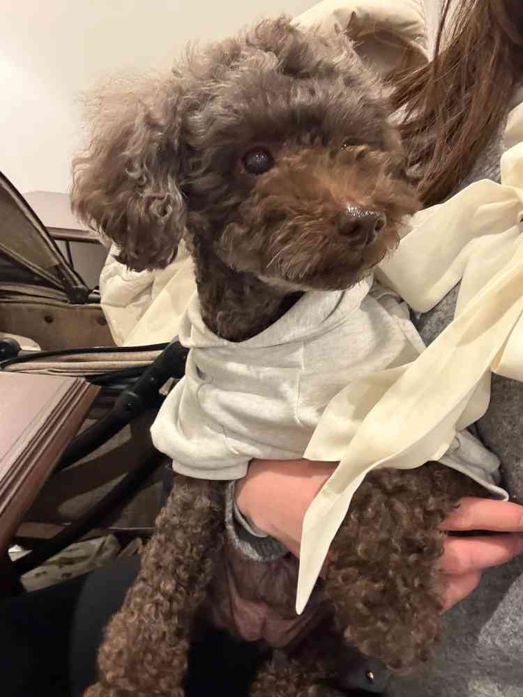 愛犬にも気を遣っていただき、愛犬を家族の一員として扱っていただけたのが嬉しかったです。