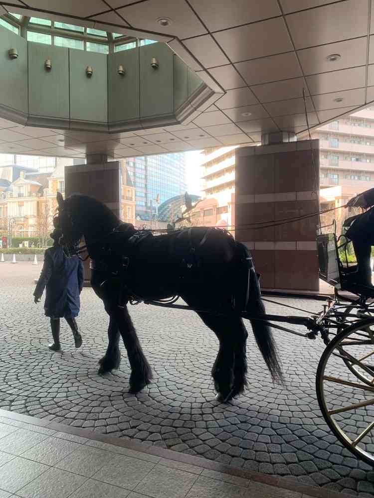 ユーザーが投稿した画像1