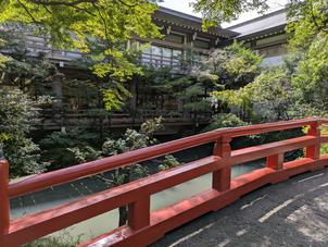 鶴岡八幡宮にはこのような橋がいくつか点在しており、そこから眺める古風の景色は感慨深い。