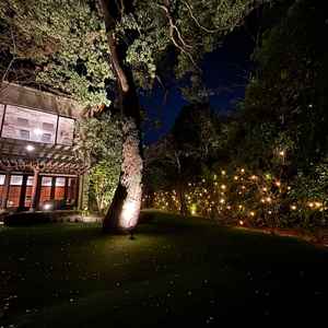 夜になると自動的にライトアップされる。とてもロマンチックな雰囲気。