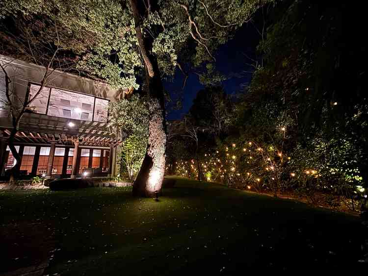 夜になると自動的にライトアップされる。とてもロマンチックな雰囲気。