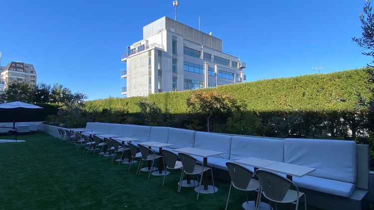 青空の下に広がる開放的なテラススペースで、緑豊かな植栽に囲まれた落ち着きのある空間でした。