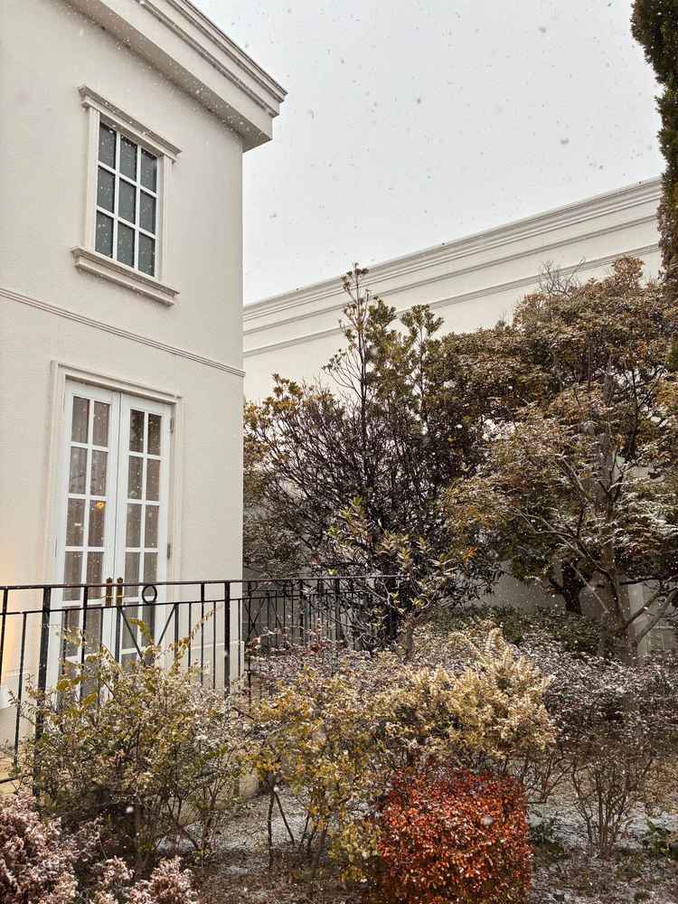 建物の壁が高くプライベート感がよりありました