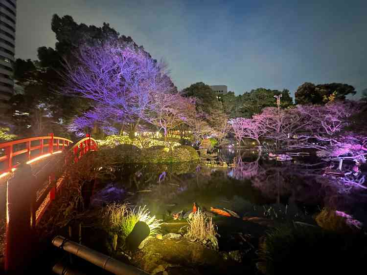 ユーザーが投稿した画像1