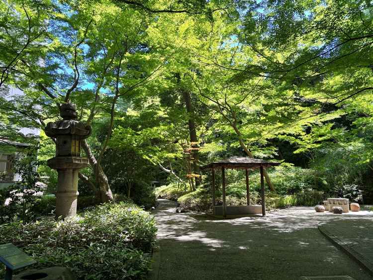庭園は緑が沢山あり、木漏れ日が指していて都心ながらに自然を感じられました。