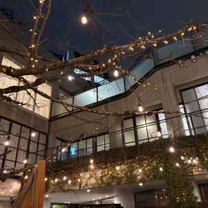 イルミネーションがとても綺麗