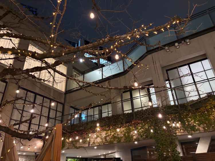 イルミネーションがとても綺麗