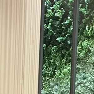 ユーザーが投稿した画像5