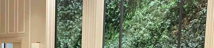 ユーザーが投稿した画像5